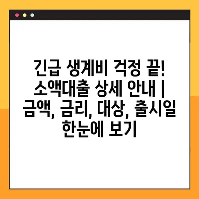 긴급 생계비 걱정 끝! 소액대출 상세 안내 | 금액, 금리, 대상, 출시일 한눈에 보기
