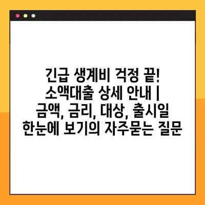 긴급 생계비 걱정 끝! 소액대출 상세 안내 | 금액, 금리, 대상, 출시일 한눈에 보기