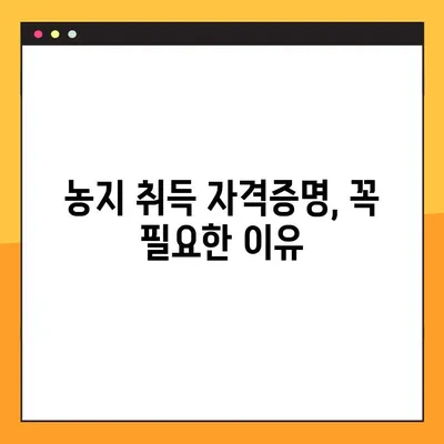 농지취득자격증명 발급 신청, 이렇게 하면 쉬워요! | 농지, 취득, 자격증명, 발급, 신청, 방법, 가이드