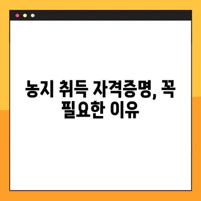 농지 취득, 자격증명 어떻게 받나요? | 농지취득자격증명 조건, 발급 방법, 주의사항 완벽 가이드