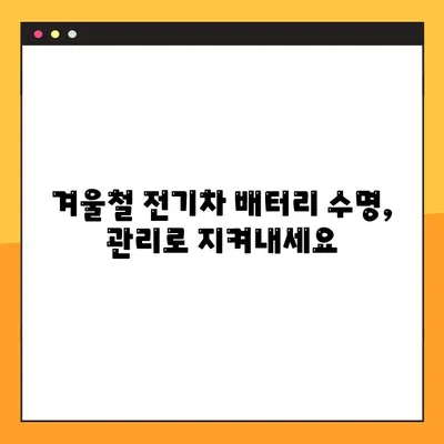 겨울철 전기차 주행거리 극대화! 배터리 관리 5가지 팁 | 효율적인 전기차 운행