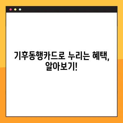 기후동행카드 신청 & 발급 완벽 가이드 | 단계별 설명, 필요 서류, 주의 사항