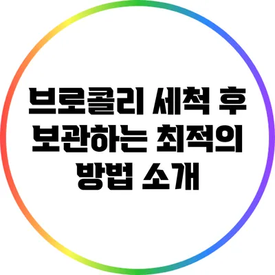 브로콜리 세척 후 보관하는 최적의 방법 소개
