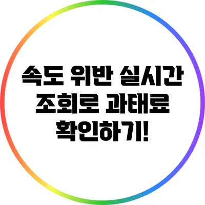 속도 위반 실시간 조회로 과태료 확인하기!
