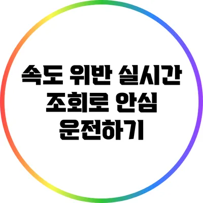 속도 위반 실시간 조회로 안심 운전하기