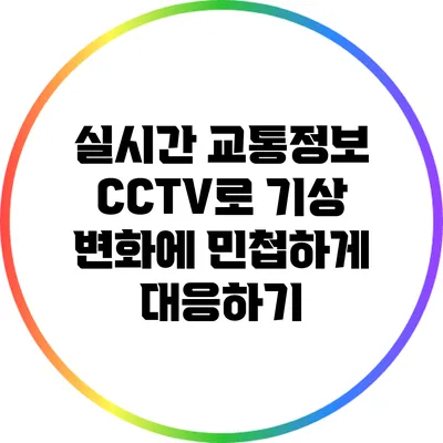 실시간 교통정보 CCTV로 기상 변화에 민첩하게 대응하기
