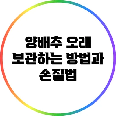양배추 오래 보관하는 방법과 손질법
