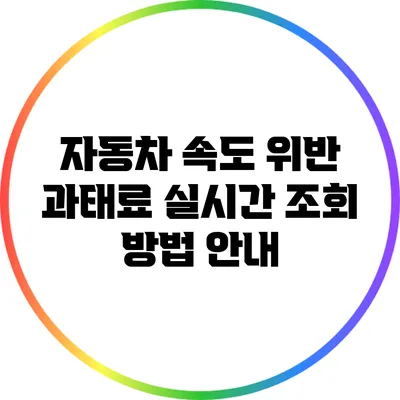 자동차 속도 위반 과태료 실시간 조회 방법 안내