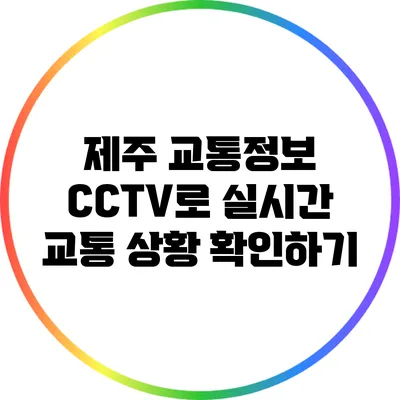 제주 교통정보 CCTV로 실시간 교통 상황 확인하기