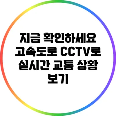 지금 확인하세요: 고속도로 CCTV로 실시간 교통 상황 보기