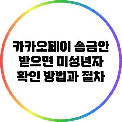 카카오페이 송금안 받으면? 미성년자 확인 방법과 절차