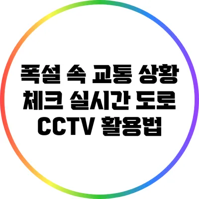 폭설 속 교통 상황 체크: 실시간 도로 CCTV 활용법