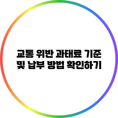 교통 위반 과태료 기준 및 납부 방법 확인하기