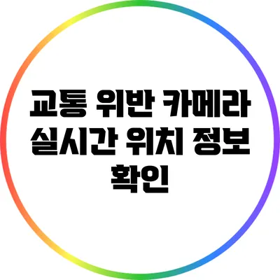 교통 위반 카메라 실시간 위치 정보 확인