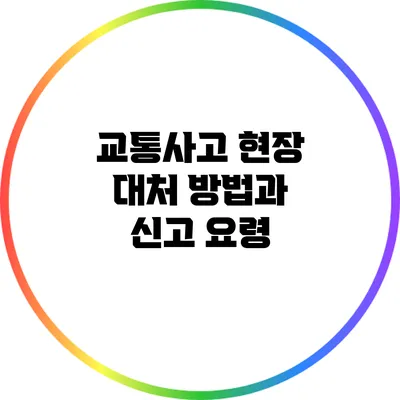 교통사고 현장 대처 방법과 신고 요령