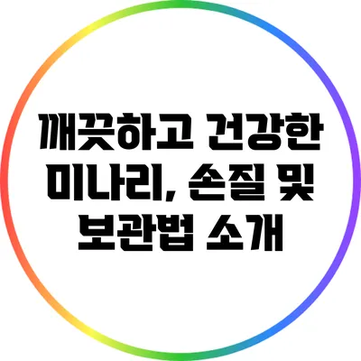 깨끗하고 건강한 미나리, 손질 및 보관법 소개