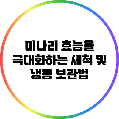 미나리 효능을 극대화하는 세척 및 냉동 보관법