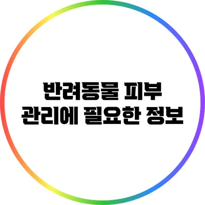 반려동물 피부 관리에 필요한 정보