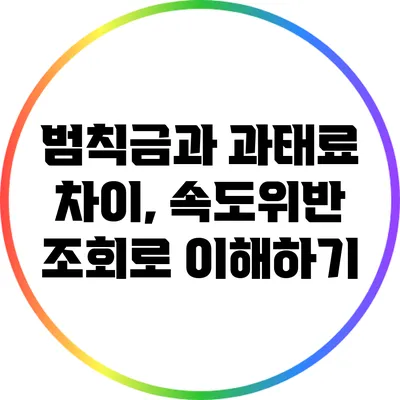 범칙금과 과태료 차이, 속도위반 조회로 이해하기