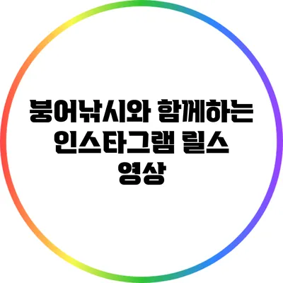 붕어낚시와 함께하는 인스타그램 릴스 영상