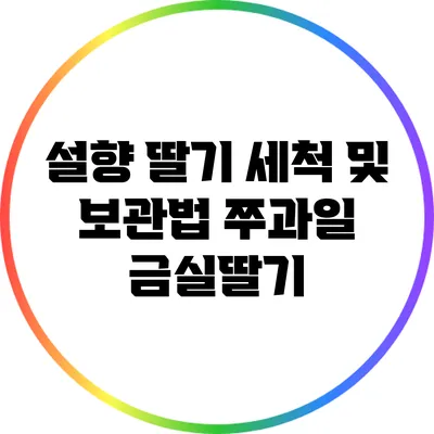 설향 딸기 세척 및 보관법: 쭈과일 금실딸기