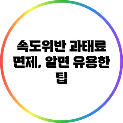 속도위반 과태료 면제, 알면 유용한 팁