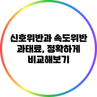 신호위반과 속도위반 과태료, 정확하게 비교해보기