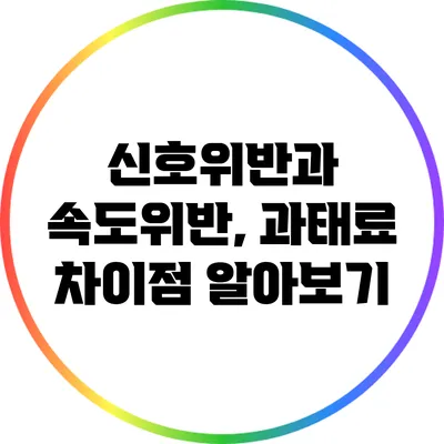 신호위반과 속도위반, 과태료 차이점 알아보기