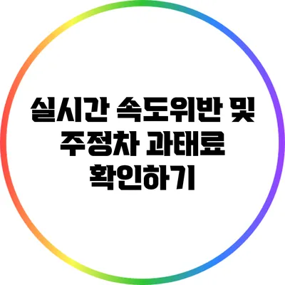 실시간 속도위반 및 주정차 과태료 확인하기