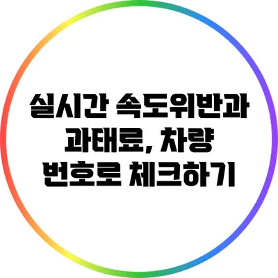 실시간 속도위반과 과태료, 차량 번호로 체크하기