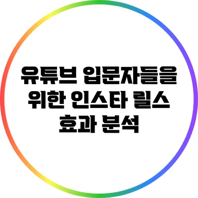 유튜브 입문자들을 위한 인스타 릴스 효과 분석