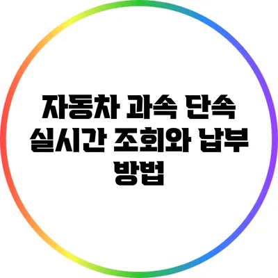 자동차 과속 단속: 실시간 조회와 납부 방법