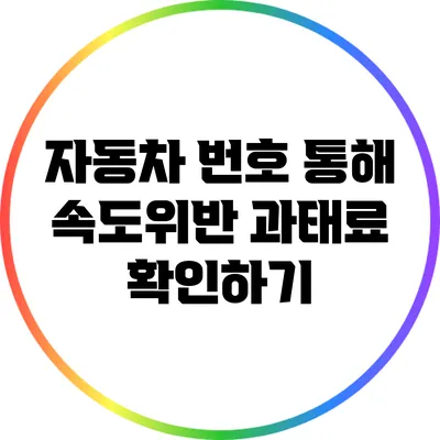 자동차 번호 통해 속도위반 과태료 확인하기