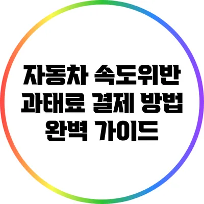 자동차 속도위반 과태료 결제 방법 완벽 가이드