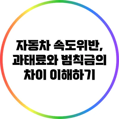 자동차 속도위반, 과태료와 범칙금의 차이 이해하기