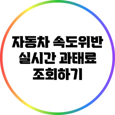자동차 속도위반 실시간 과태료 조회하기