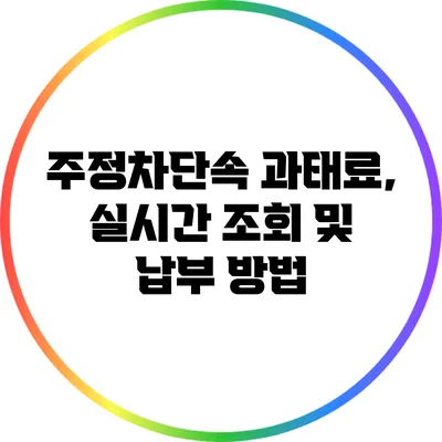 주정차단속 과태료, 실시간 조회 및 납부 방법