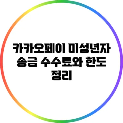 카카오페이 미성년자 송금 수수료와 한도 정리