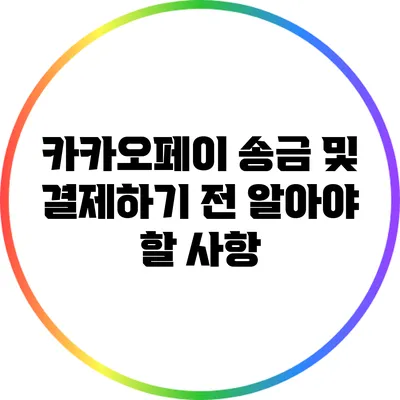 카카오페이 송금 및 결제하기 전 알아야 할 사항