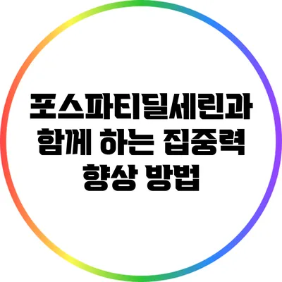 포스파티딜세린과 함께 하는 집중력 향상 방법