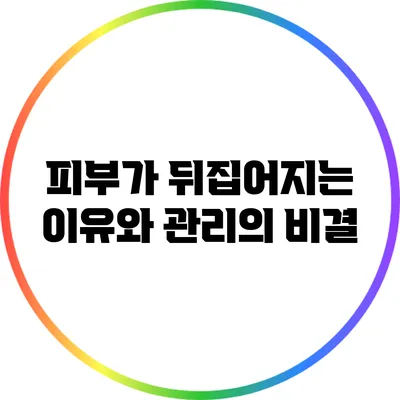 피부가 뒤집어지는 이유와 관리의 비결