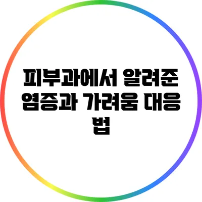 피부과에서 알려준 염증과 가려움 대응 법