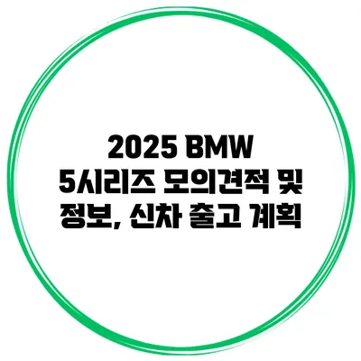 2025 BMW 5시리즈 모의견적 및 정보, 신차 출고 계획