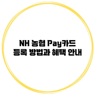 NH 농협 Pay카드 등록 방법과 혜택 안내