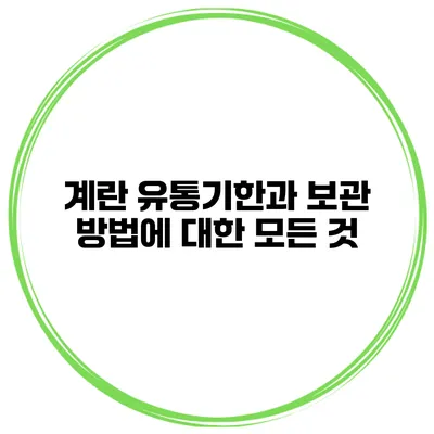 계란 유통기한과 보관 방법에 대한 모든 것