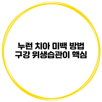 누런 치아 미백 방법 구강 위생습관이 핵심