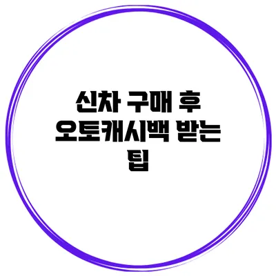 신차 구매 후 오토캐시백 받는 팁