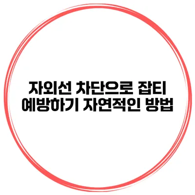 자외선 차단으로 잡티 예방하기 자연적인 방법