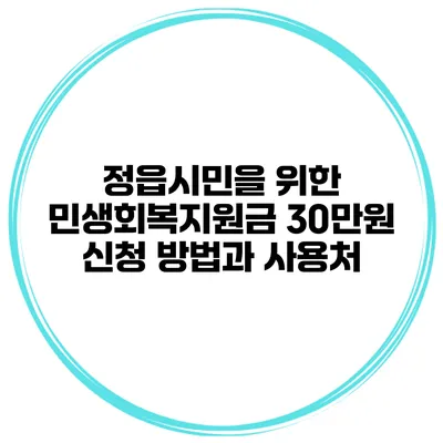 정읍시민을 위한 민생회복지원금 30만원 신청 방법과 사용처