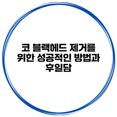 코 블랙헤드 제거를 위한 성공적인 방법과 후일담